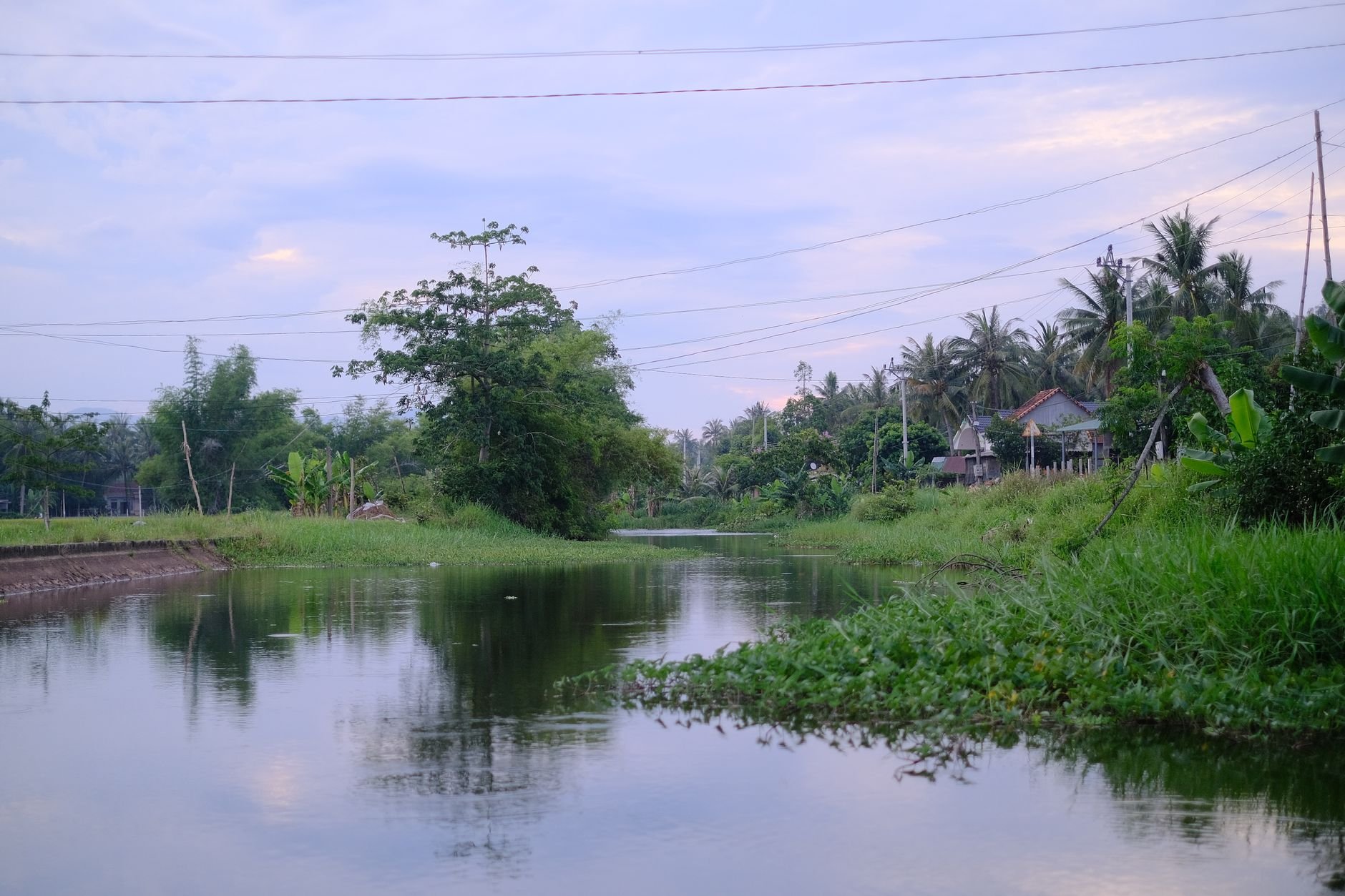 A tranquil riverbank at dusk with lush tropical greenery reflected in calm waters